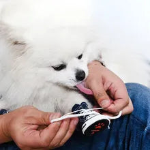 Dog Trainers