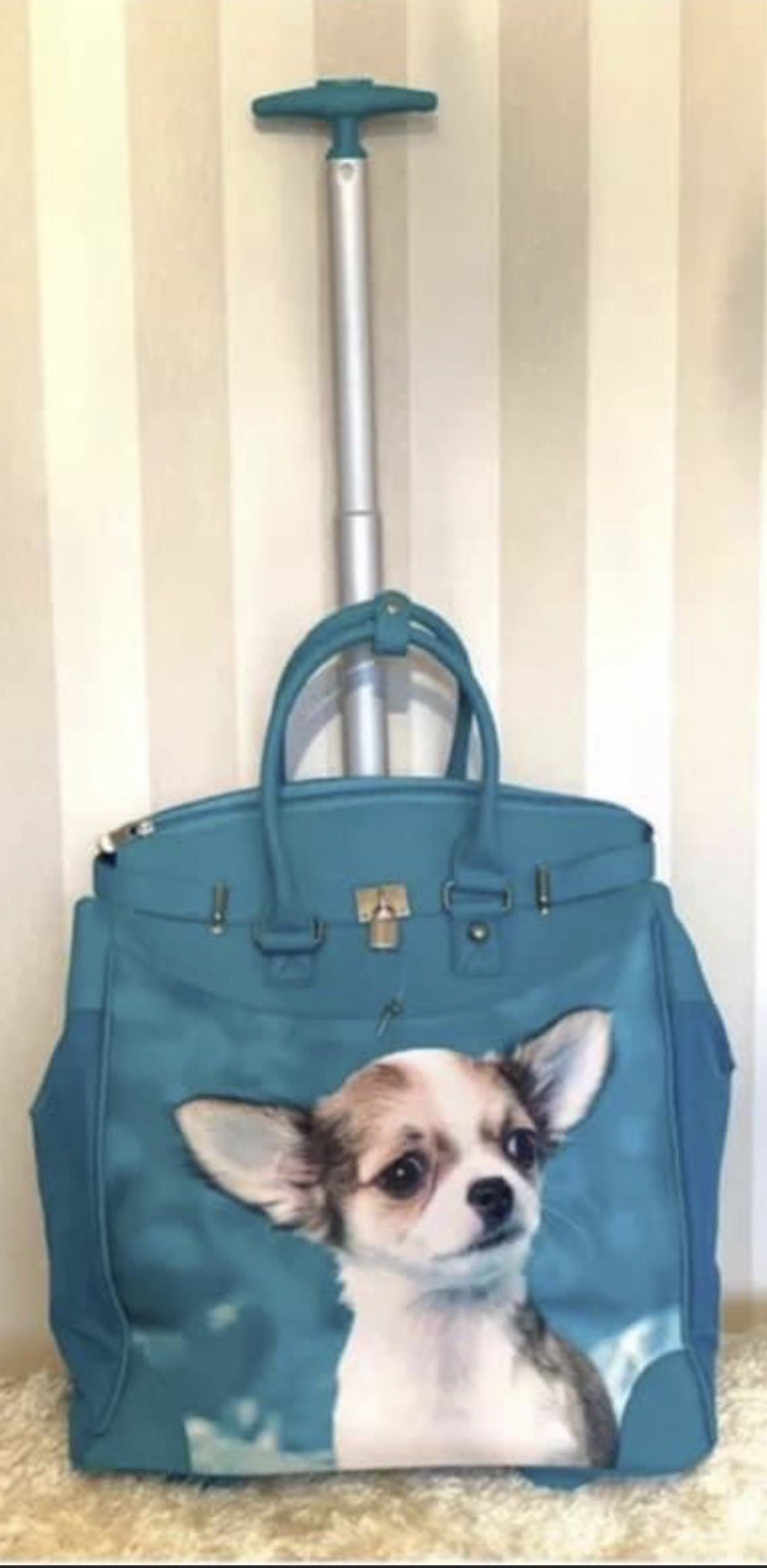 Blue chihuahua carry on luggage/flight bag