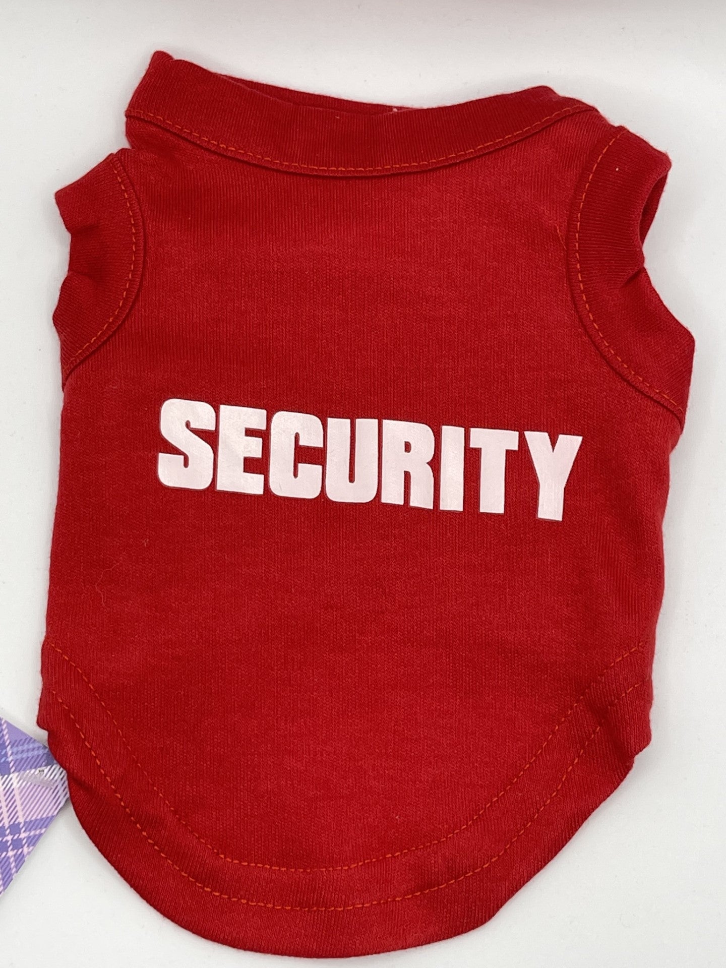 Security Vest