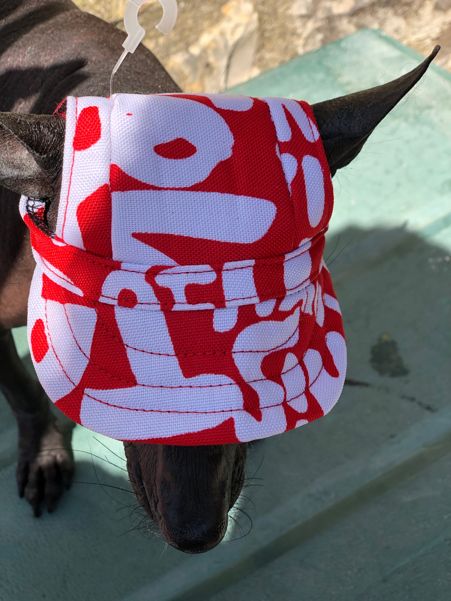 Sun cap/hat