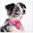 Dog Cooling Bandanas