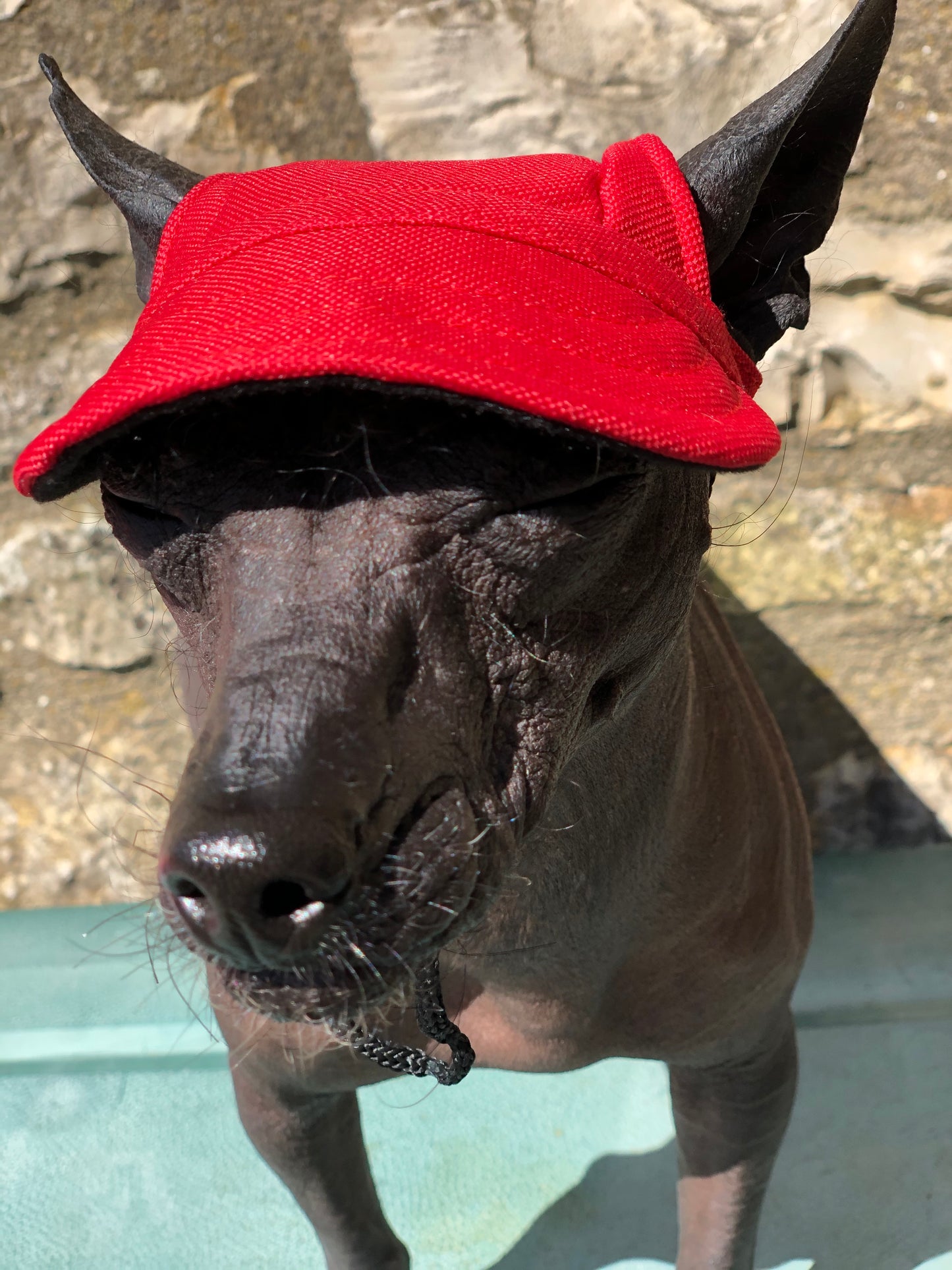 Sun cap/hat