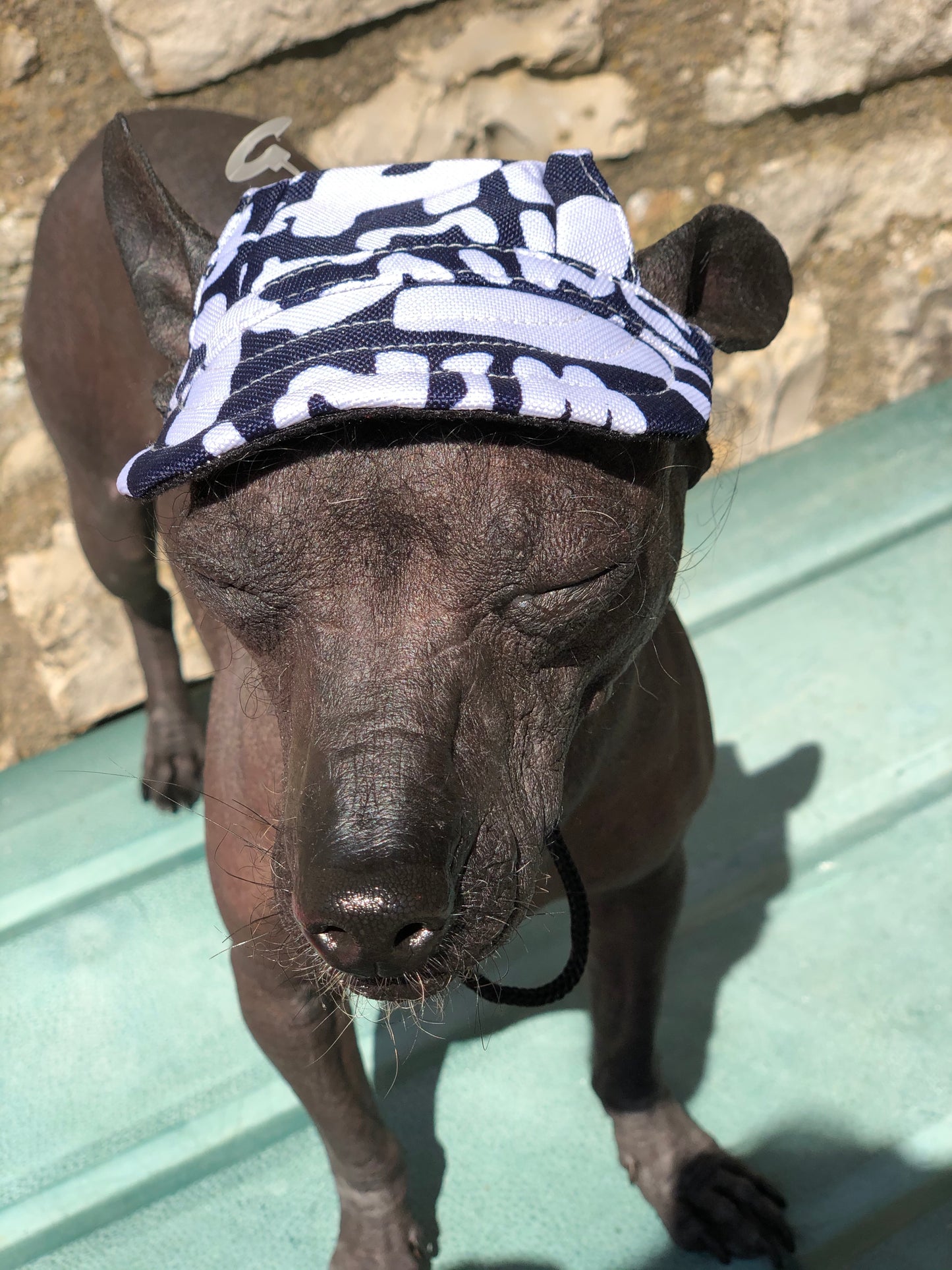 Sun cap/hat
