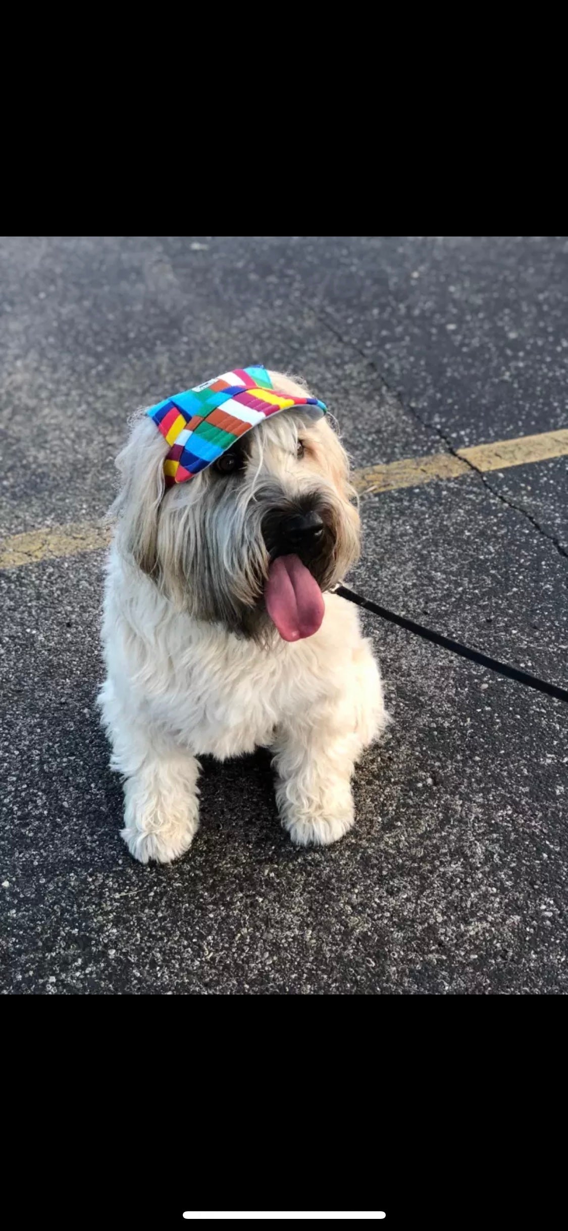 Sun cap/hat