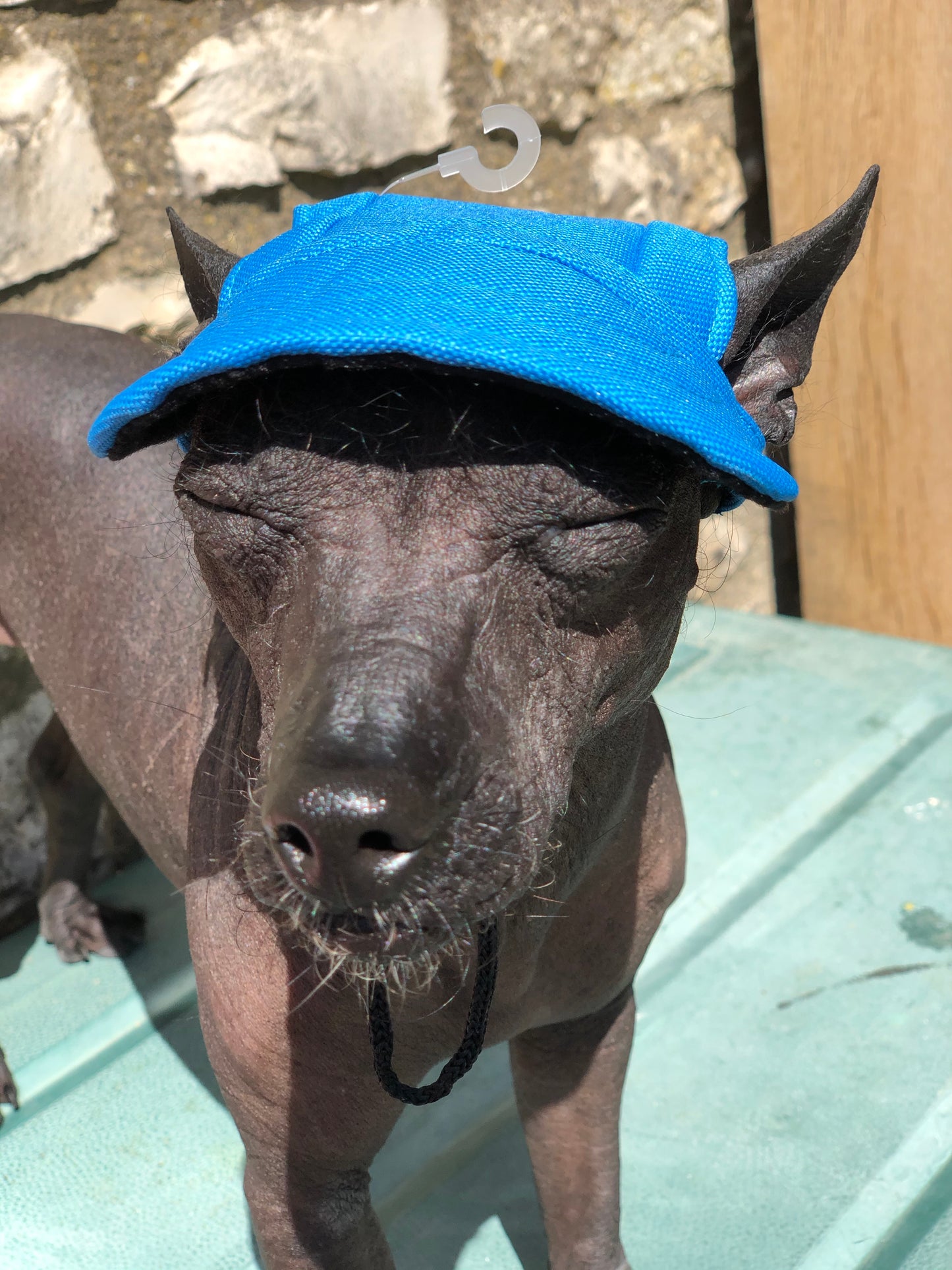 Sun cap/hat