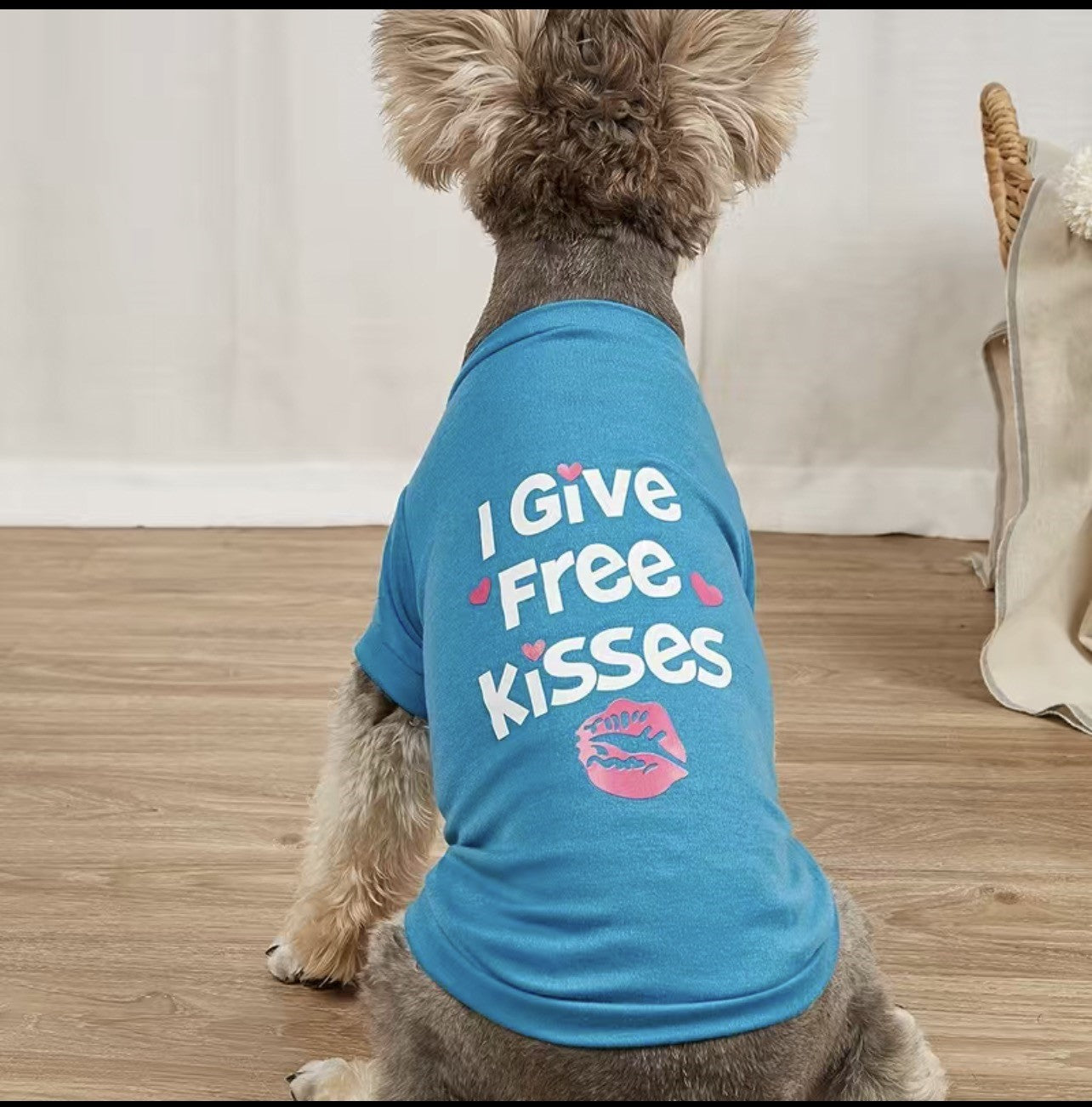 I Give Free Kisses T Shirt