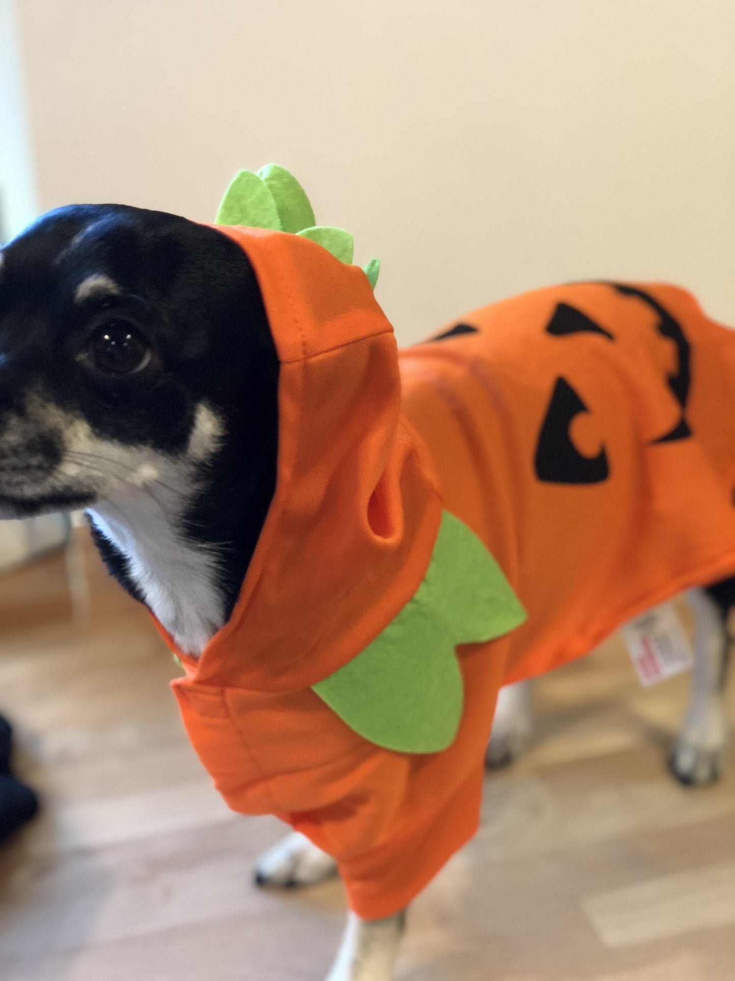 Halloween Pumpkin Outfit