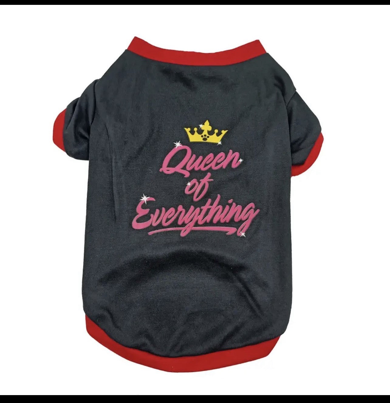 Queen Of Everything T Shirt
