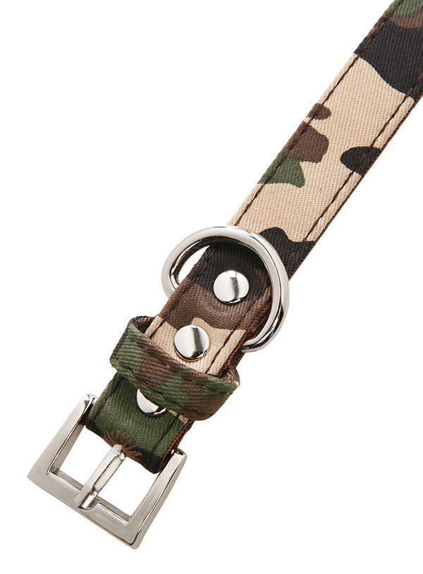 Urban Pup Camo print dog collar